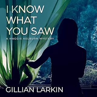 I Know What You Saw Audiolibro Por Gillian Larkin arte de portada
