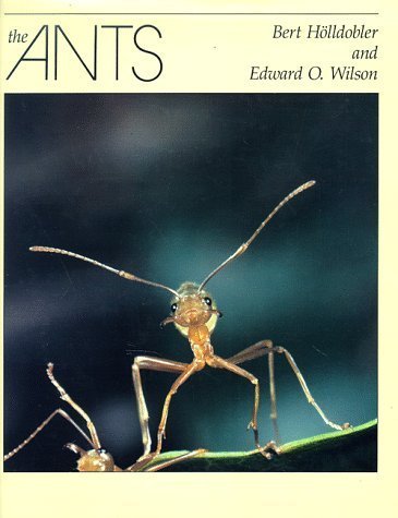 The Ants 1st edition by Bert Holldobler, Edward... B010WETICE Book Cover