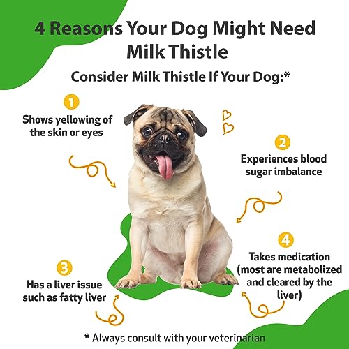 image for Pet Wellbeing Milk Thistle for Dogs - Supports Liver Health, Protects 