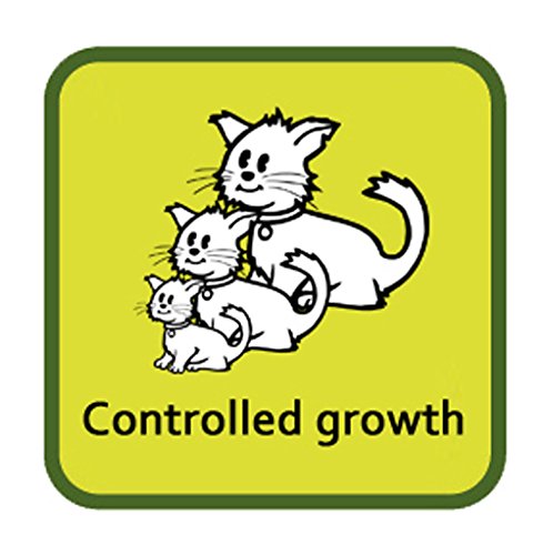 Meowing Heads 1,5 kg