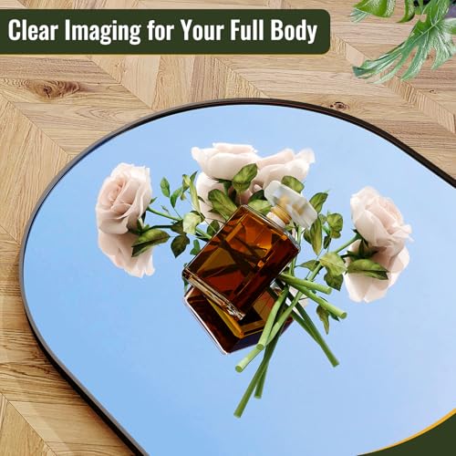 30x71 Arched Full Length Mirror Floor Mirrors with Aluminum Alloy Frame Free-Standing Wall Mounted Floor Mirrors or Large Dressing Mirror, Black Mirror Full Length
