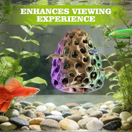 Image of Shrimp Dome Hide, Shrimp Hides for Aquarium, Betta Fish Hideout with Suction Cup, Betta Habitat Tank Ornament Accessories, Aquarium Decor for Small Fish Guppy Hiding Resting (Lid Green Purple)