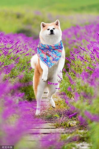 Lionheart Glory Colorful Dog Bandana 1 Pack Washable Soft Dog Scarf, Square Adjustable Dog Bandanas For Medium Large Dogs #TOP1