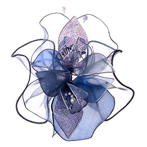 Qւ̃RT[W { w  Ǝ  (lCr[)