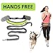 BoxLegend Hands Free Dog Leash Elastic with Reflective Stripe, Adjustable Waist Belt and Flexible Bungee Belt