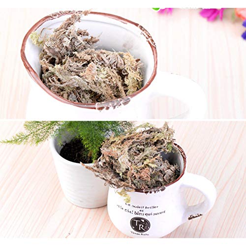 YJBE 12L Mos Voor Tuinbenodigdheden Sphagnum Mos Hydraterende Voeding Organische Meststof Phalaenopsis Orchidee… - Image 5