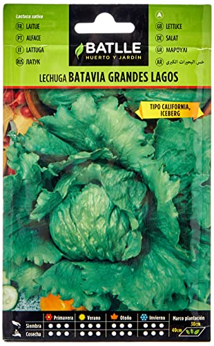 Semillas Batlle Lechuga GRANDES LAGOS