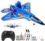 F-22 RC Flugzeug, 2.4Ghz 2 Kanal Ferngesteuertes Flugzeug Raptor Fighter Flugzeug Modell mit Xpilot Gyroskop System für Anfänger (F22Blau)