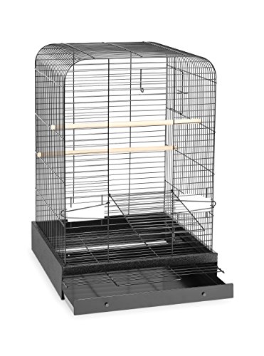 Prevue Hendryx 124Blk Pet Products Madison Bird Cage, Hammertone Black #TOP1