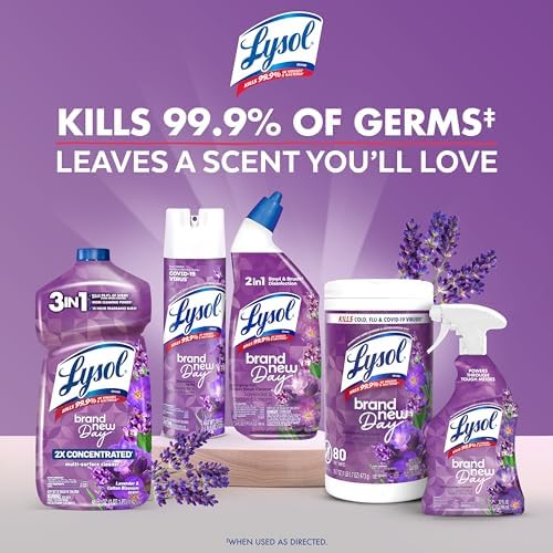 LYSOL Disinfecting Wipes, Multi-Surface, Lavender + Mango, 80 ct. (4 Pack) - 5