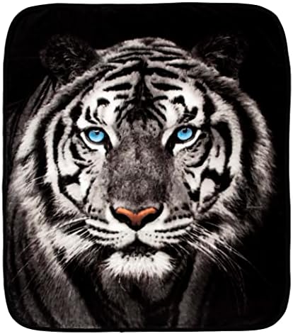 Officially Licensed Cincinnati Bearcats Raschel Throw Blanket - 50" X 60", Soft Plush, Machine Washable