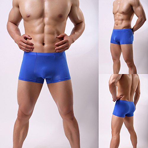Men's Silk Boxer Briefs Stretch Breathable Underwear Pack Health to Wear3
