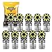 Auxbeam 194 LED Bulbs Super Bright 6000K White with 18pcs 5730 Chipsets T10 W5W 168 LED Light Bulbs for License Plate Lights, Dashboard Lights, Lights, Reading Lights, Door Lights (10 PCS)