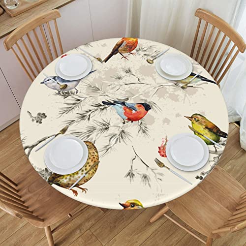 Vintage Birds Round Tablecloth With Elastic Edge Fitted Birds Table Cover Waterproof Table Cloths Indoor Outdoor Modern Tables Decoration For Dining Table,Picnic,Party (45-50 Inch) #TOP28