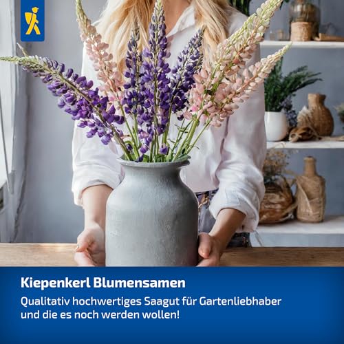Kiepenkerl Kakteensamen Liebhaber Mischung 1061890 - Verschiedene Arten und Farben - Fensterbank und Wintergarten - Höhe 10-40 cm - Kaktus, Saatgut
