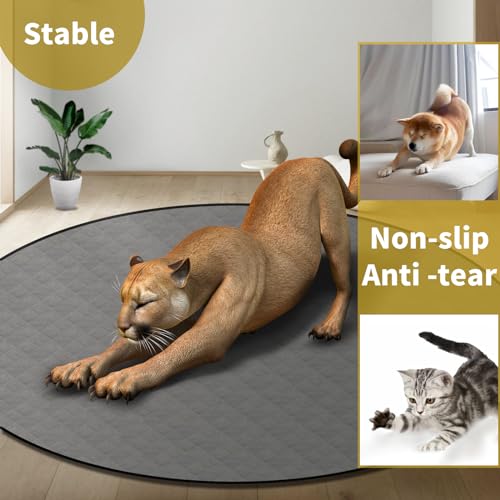 Image of Washable Reusable Dog Pee Pads, 65 inch Round Absorbent & Waterproof Puppy Training Pad for Crate, Playpen & Carpet, Large Potty Pads for Dogs, Cats & Small Pets