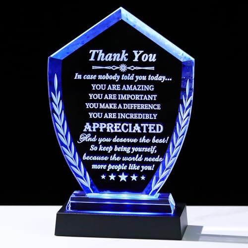 Thank You Gift for Women Men - You are Amazing Engraved Crystal Appreciation Plaque with Light Base for Teacher, Nurse, Coworker | Inspiration Uplifting Make a Difference Encouragement Keepsake