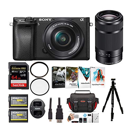 Best Travel Mirrorless Camera to Seize the Moments