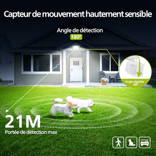Éclairage Extérieur Solaire Philips de 3600 LM pour Sécuriser l'Entrée Maison