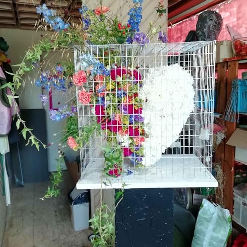 Von komplexen Pr&uuml;fungsaufgaben und polnischen Milit&auml;rarchitekten Teil II