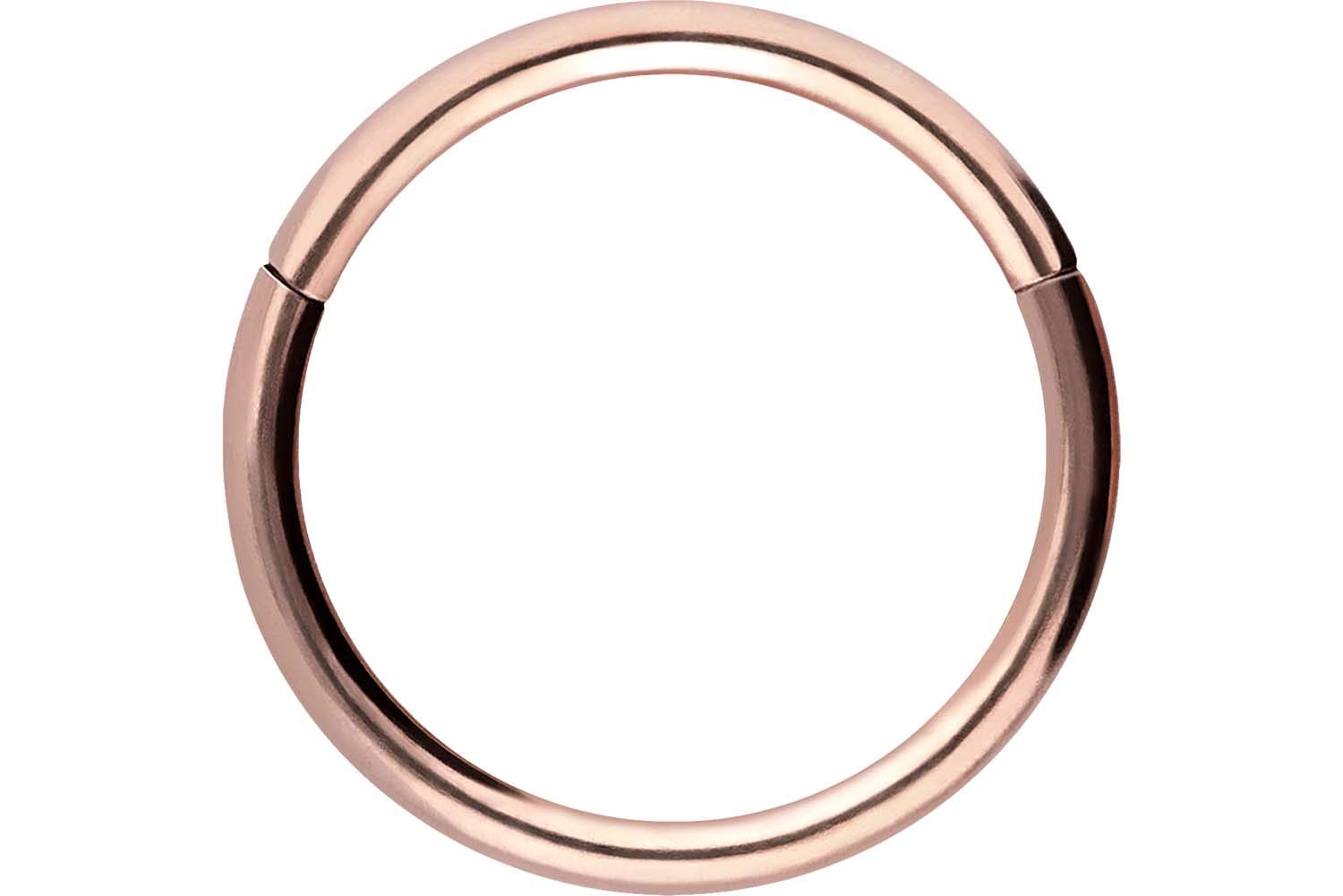 PIERCINGLINE Anillo segmento Clicker de acero quirúrgico – Piercing en oro, plata, rosa, negro o azul – para nariz, tabique, oreja, hélice o tragus — view 68