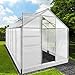 Produktbild BRAST Gewächshaus Aluminium mit Fundament rostfrei 380x190x195cm Silber 6mm Platten 37 Modelle Alu Treibhaus Glashaus Tomatenhaus