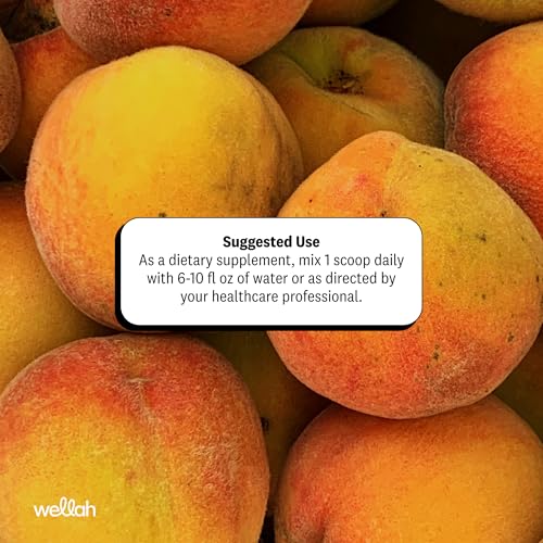Image of Wellah Creatine + Electrolytes Powder (Peach Mango) 30 Servings | Hydration Drink Mix with 3g of Creatine Monohydrate