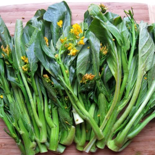 200 Yu Choy Sum Seeds Chinese Broccoli Asian Vegetable Seeds