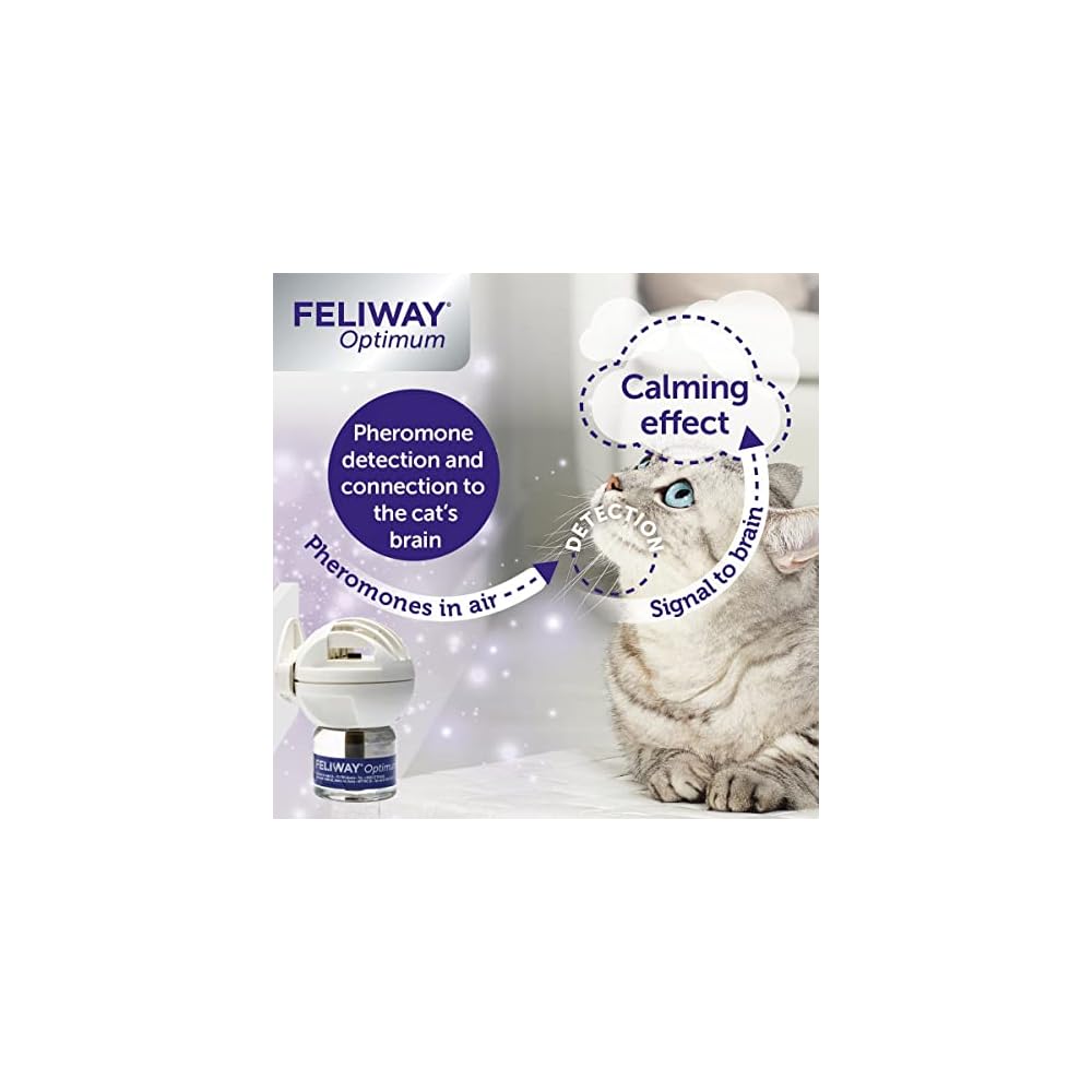 FELIWAY Optimum Refill - Stress & Anxiety Solution Nepal | Ubuy