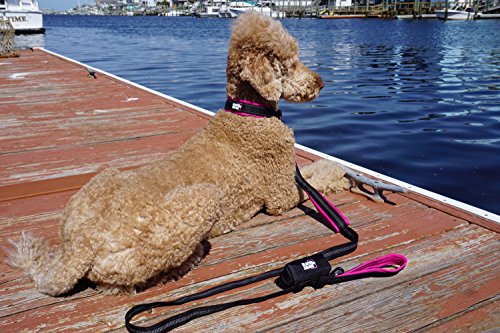 Black Rhino Dog Leash - Heavy Duty - Medium & Large Dogs | 6ft Long Leashes | Two Traffic Padded Comfort Handles for Safety Control Training - Double Handle Reflective Lead - (Pink) - Thumbnail 4