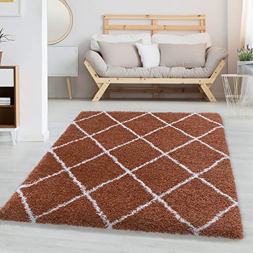 Carpettex Teppich Tapis de Salon Tapis Shaggy Motif de Diamant Poil Souple Couleur Terra, Couleur:Terracotta, Dimension:60x110 cm Cover