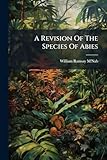  A Revision Of The Species Of Abies