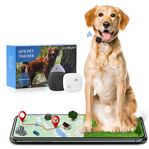 Amazon Best Sellers Best Pet Trackers