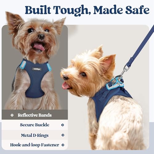 rabbitgoo Step-In Harness & Leash Set (Navy Blue, Small) — view 7