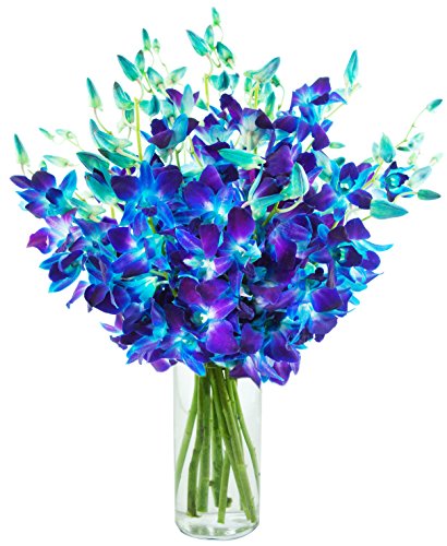 KaBloom - Exotic Sapphire Orchid Bouquet Of 20 Fresh Blue