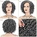 XIUFAXIRUSI XIUFAXIRUSI Short Curly Afro Wigs for Black Women Grey Kinky Curly Full Hair Wig Synthetic Natural Salt N Pepper Heat Resistant Wigs for Daily Use