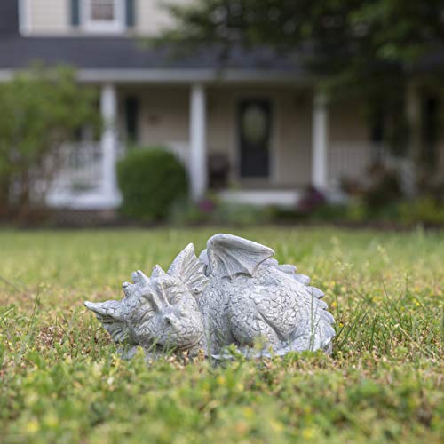 Besti Decorative Outdoor Dragon Garden Statue - Cold Cast Ceramic Statue | Lawn And Yard Decoration | Weather-Resistant Finish #TOP5