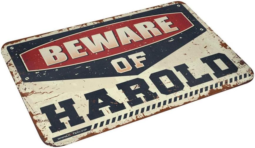 Men Cave Decor Beware of Harold Rug Door Mats for Inside Entry Winter Doormat Outdoor (Size : 65X90CM)