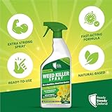Weed Killer 1L - Extra Strong 6% Acetic Acid Spray for Fast-Acting Weed and Moss Control - Non-Residual and Ready-to-Use Formula for Gardens, Paths, Patios, Driveways, and Unplanted Areas - Image 6