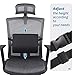 LARROUS Memory Foam Lumbar Support Pillow for Car, Lower Back Pain Relief, with Adjustable Strap, for Car Seat and Office Chair (Black)