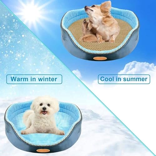 Bestio Dog Bed For Small/Medium Dogs,Plush Pet Bed With Cooling Mat For All Seasons,Cat Bed For Indoor Cats,Washable Soft Puppy Bed,Round Cat Bed With Non-Slip Bottom #TOP1