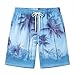 Beach Shorts for Men Quick Dry Tropical Prints Elastic High Waist Board Shorts Lightweight Fashion Drawstring Bathing Suit Blue,L