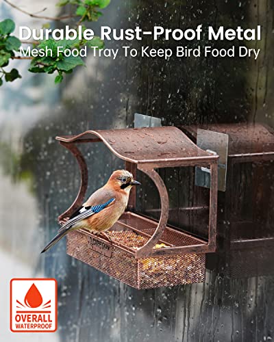 Window-Bird-Feeder-Desgully-Metal-Window-Bird-Feeder-Window-Bird-Feeders-with-Strong-Suction-Cups-Super-Adhesive-Sheet4Large-Outdoor-Bird-Feeder-Bird-Watching-Gift-Curved