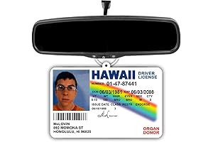 The Office Car Air Freshener: Relive the Iconic Sitcom with a Sweet Eucalyptus Scent