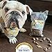 Green Butterfly Brands Premium Dog Treats Made in USA Only Natural, Meaty Beef Tips Slow Roasted, Crunchy American Beef Farm Raised Grain Free Training Treat, 8 Ounces