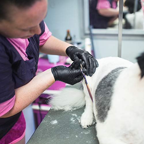 Ammex Black Nitrile Exam Gloves, Case Of 1000, 3 Mil, Size Small, Latex Free, Powder Free, Textured, Disposable, Non-Sterile, Food Safe, Abnpf42100 #TOP7