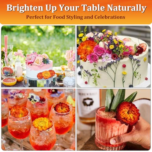 30+ Edible Dried Mixed Flowers – 25g Food Grade Natural Blooms for Cake Decorating, Tea, Cocktails, DIY – Ideal for Cocktail Toppers, Drink Garnish, Bath Soaks – No Additives, Vegan - Thumbnail 6