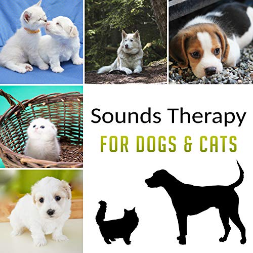 Amazon Music Pet Care Club / Pet Music AcademyのSounds Therapy for Dogs & Cats Music to Relax