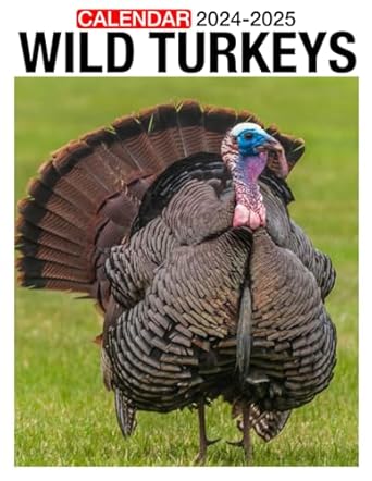 Wild Turkeys Calendar 2024 - 2025: 24-Month Covering Jan 2024 to