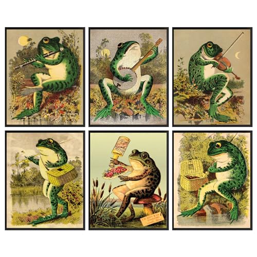 Poster vintage grenouille banjo pour égayer un mur blanc triste